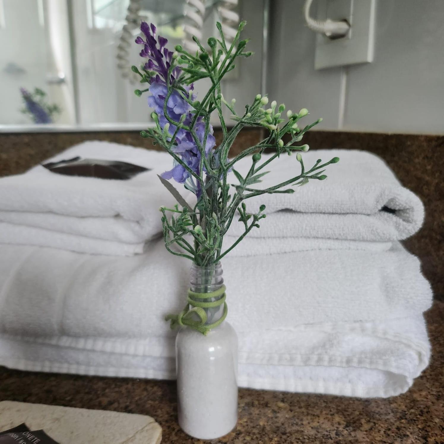 Hotel Da Vinci 塞拉内格拉 外观 照片